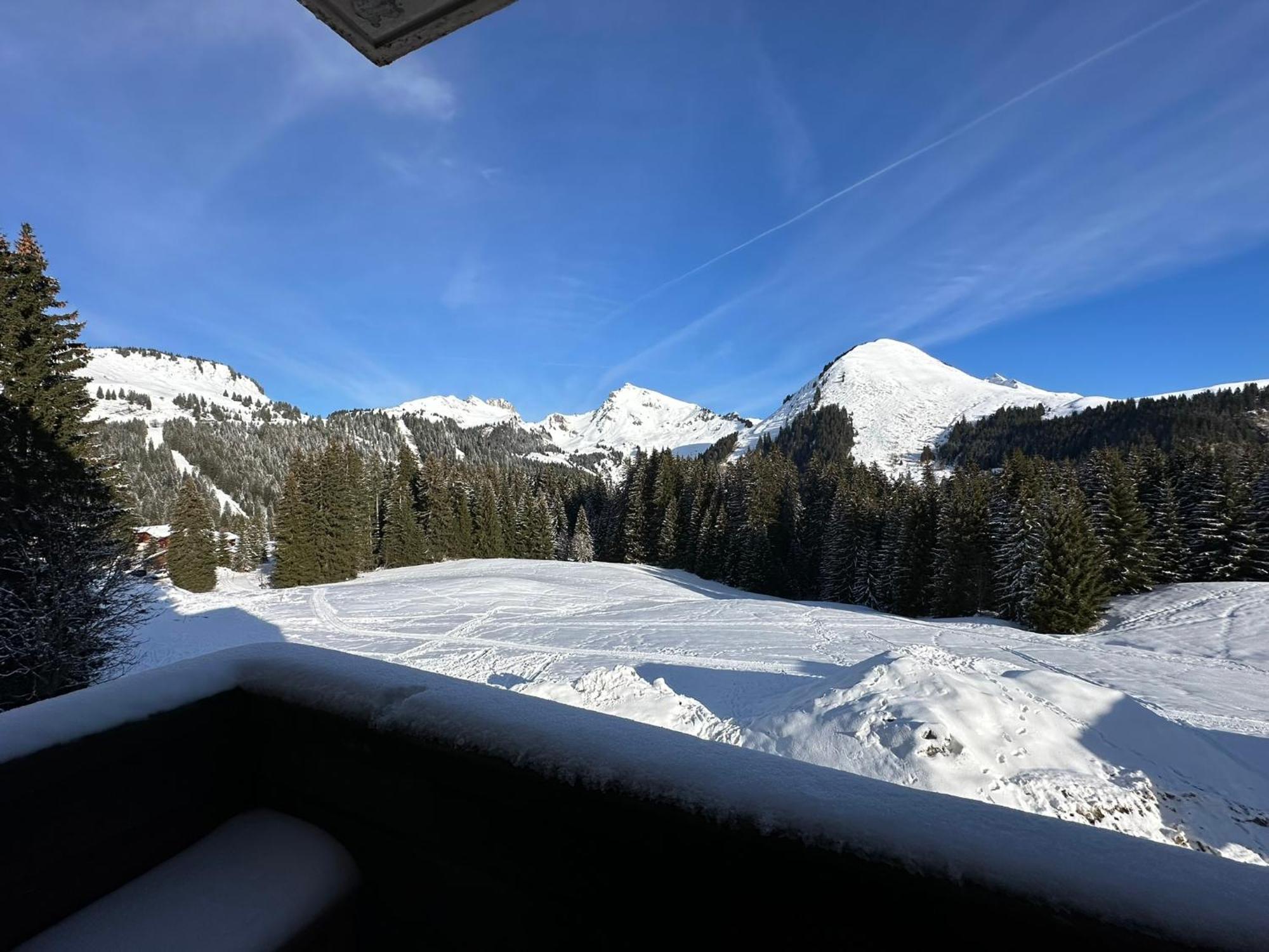Studio Au Coeur Du Praz-De-Lys - Les Pralyssimes Le Praz de Lys Exteriér fotografie