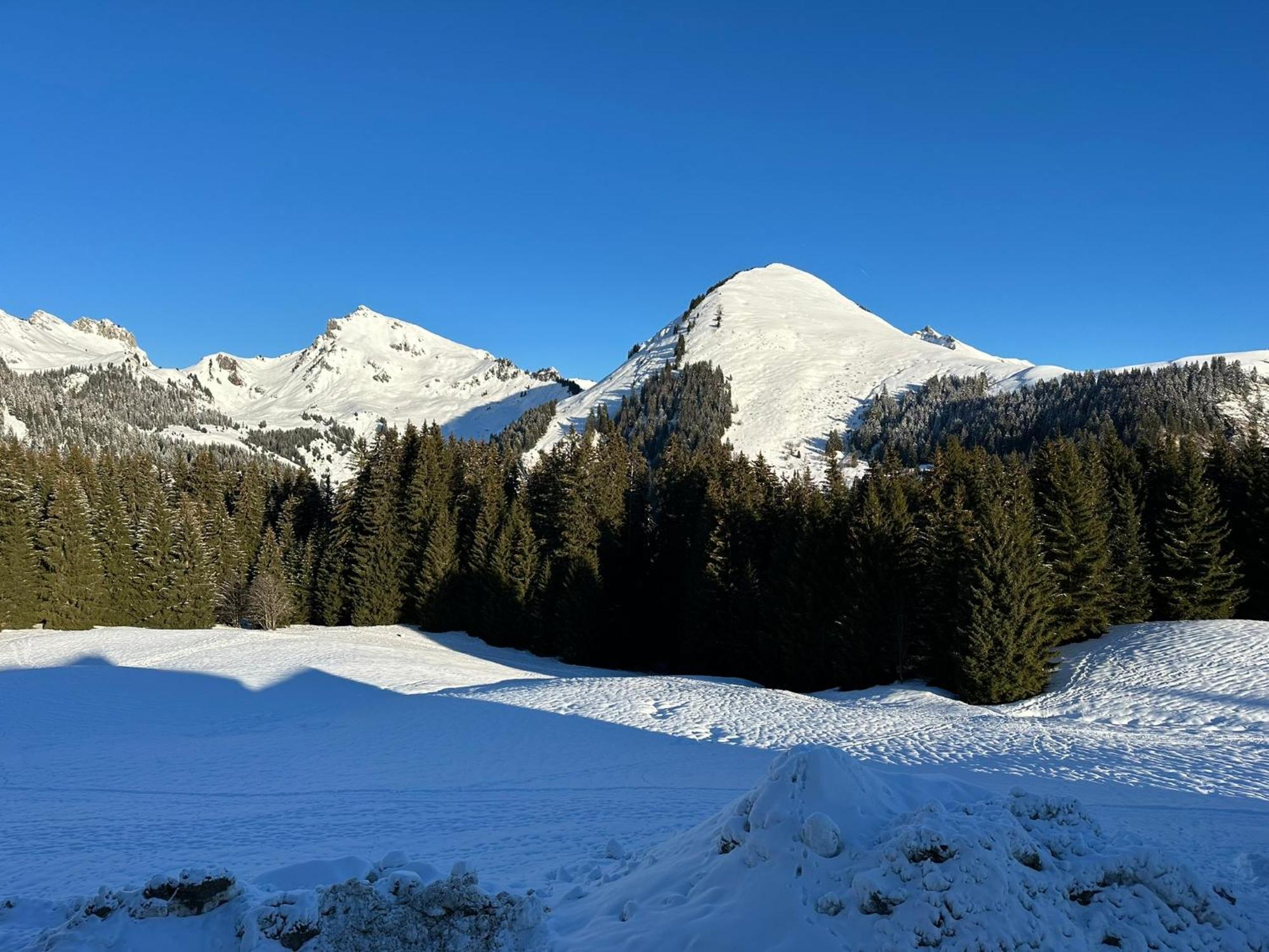 Studio Au Coeur Du Praz-De-Lys - Les Pralyssimes Le Praz de Lys Exteriér fotografie