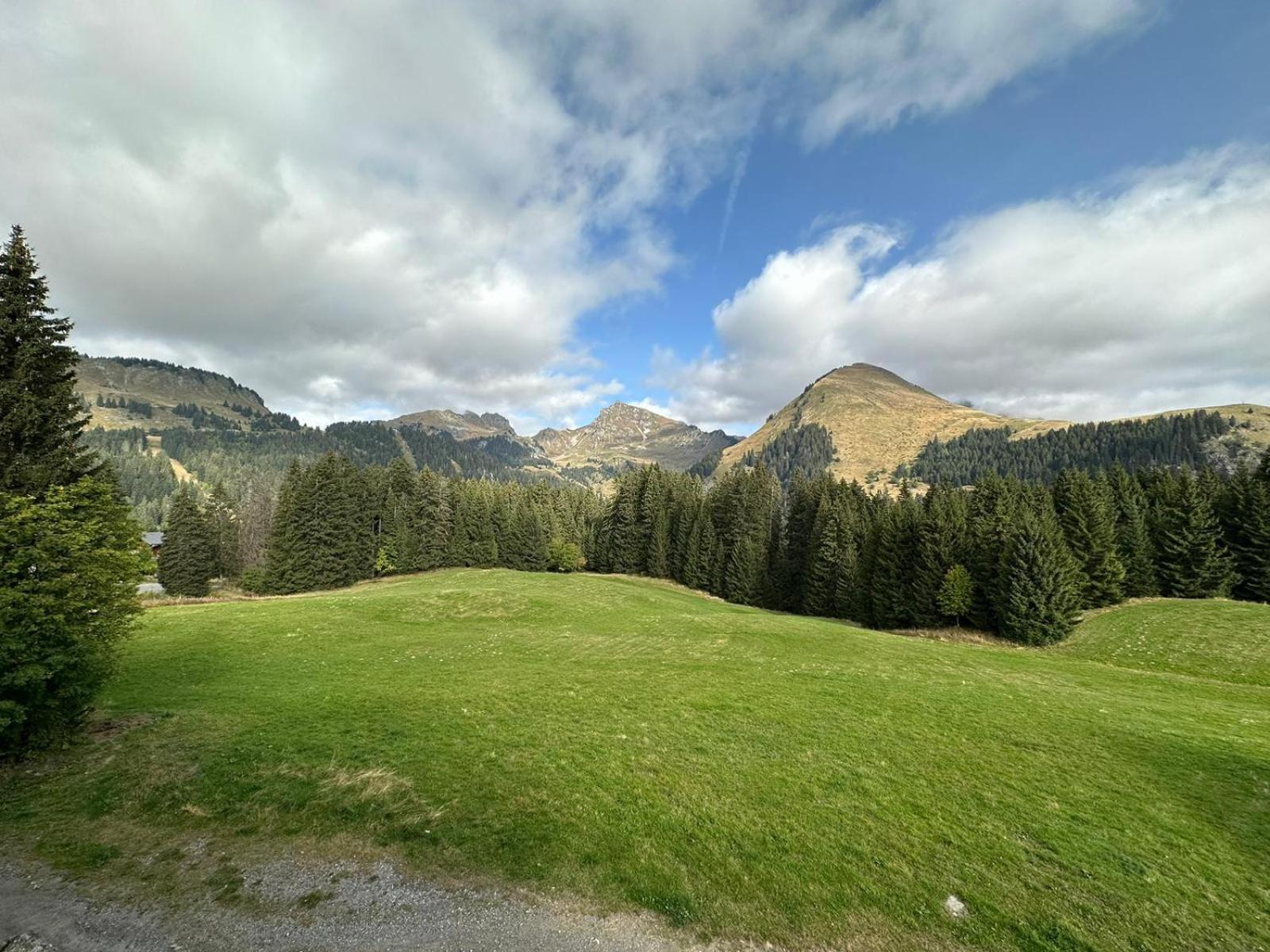 Studio Au Coeur Du Praz-De-Lys - Les Pralyssimes Le Praz de Lys Exteriér fotografie