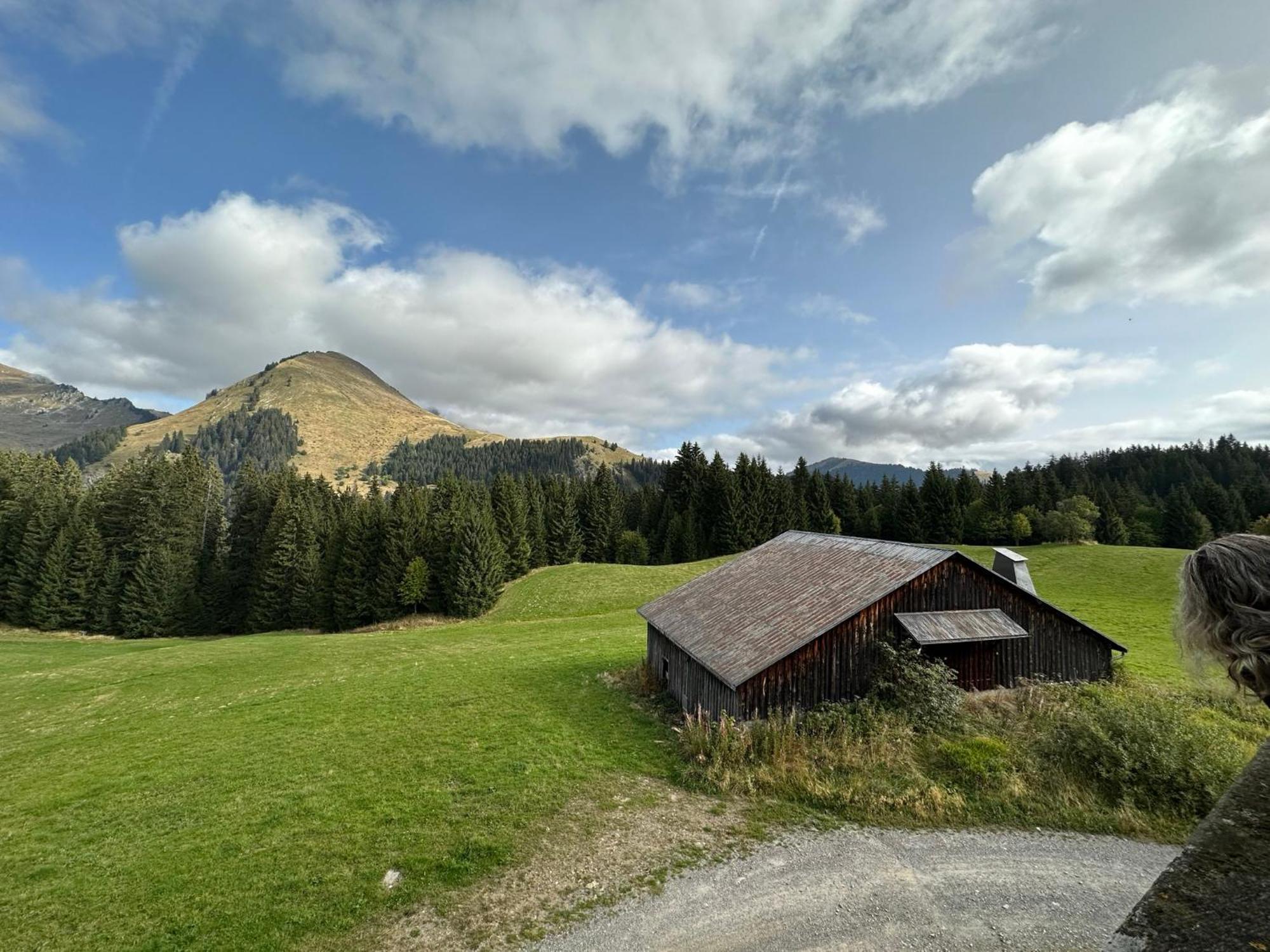 Studio Au Coeur Du Praz-De-Lys - Les Pralyssimes Le Praz de Lys Exteriér fotografie