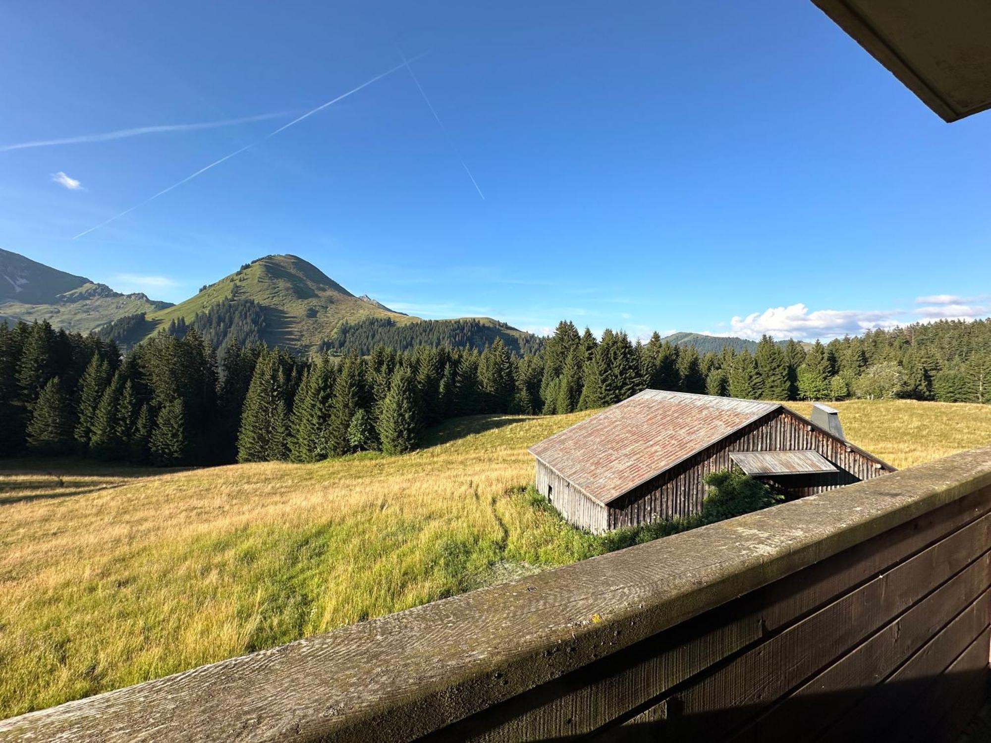 Studio Au Coeur Du Praz-De-Lys - Les Pralyssimes Le Praz de Lys Exteriér fotografie